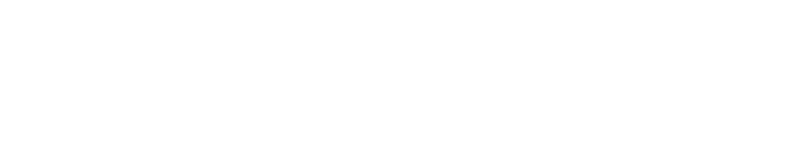 TikTok Shop